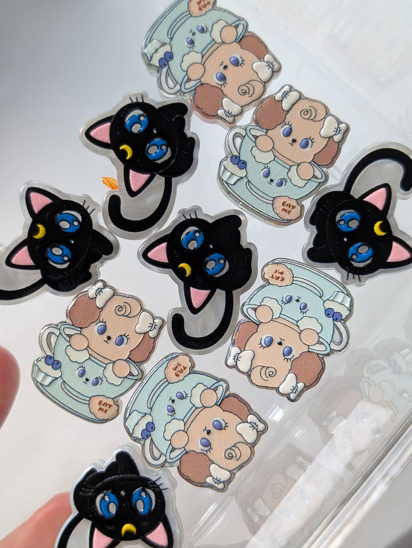 Cat/dog acrylic beads