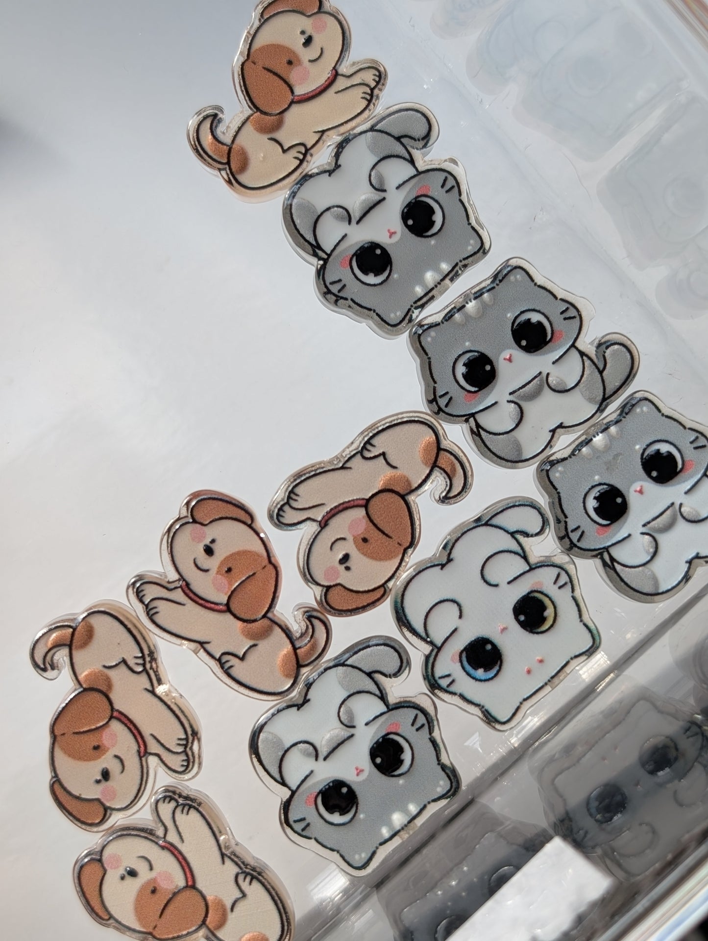 Cat/dog acrylic beads