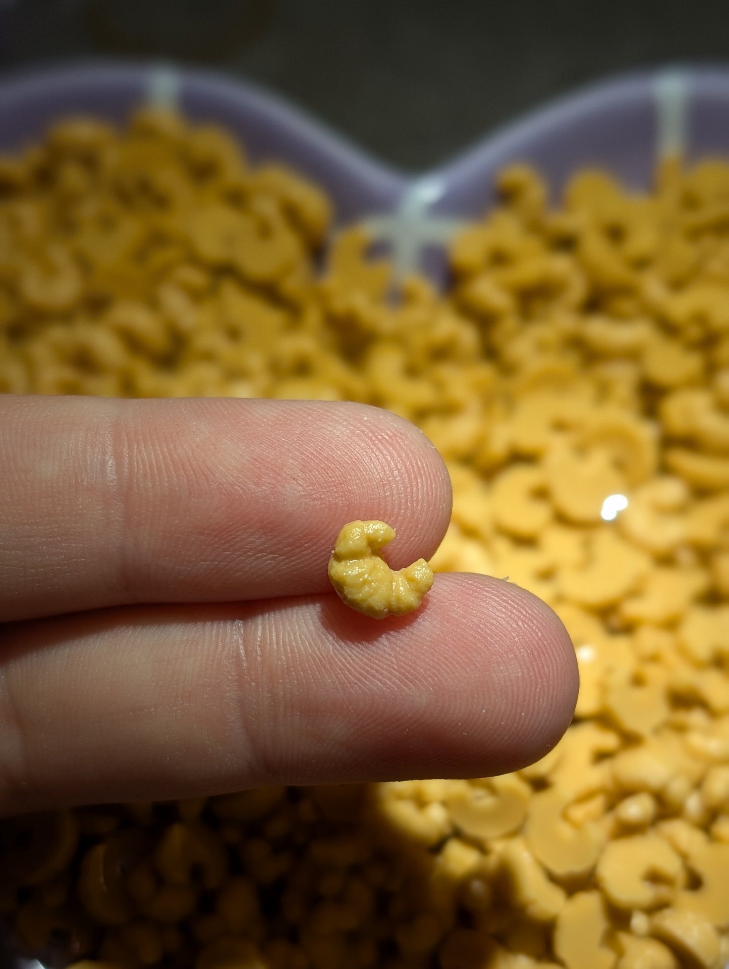 Mini croissants (10g)