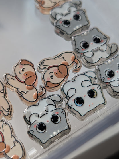 Cat/dog acrylic beads
